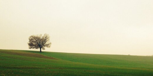 Reggio Emilia