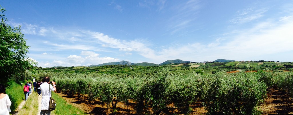 Nessun Dorme - Panorama di San Vincenzo
