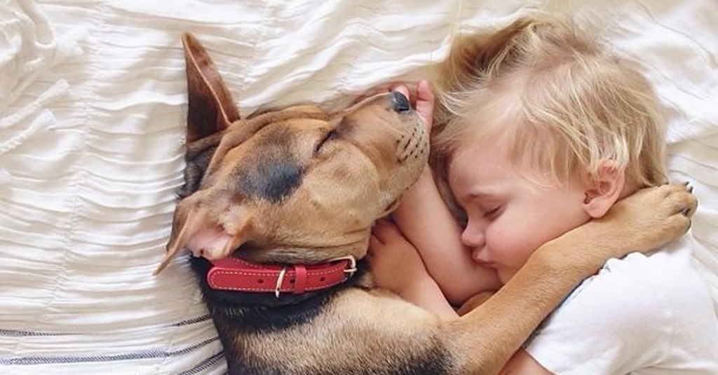 Cani e bambini